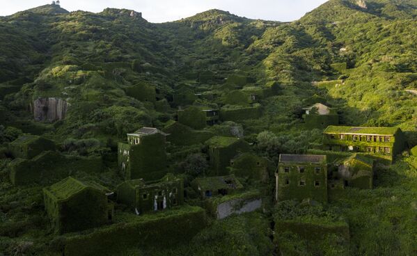 Những ngôi nhà với cây xanh mọc phủ trên tường trong làng bị bỏ hoang ở miền đông Trung Quốc Houtouvan - Sputnik Việt Nam