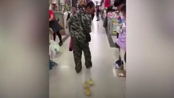 Ở Trung Quốc, một người đàn ông mang vịt tới trung tâm thương mại - Sputnik Việt Nam
