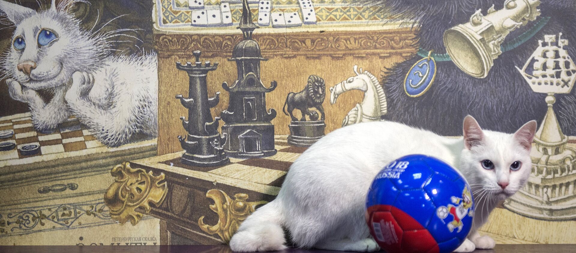 Mèo Achilles của Hermitage - một “nhà tiên tri” của World Cup - Sputnik Việt Nam, 1920, 25.06.2018