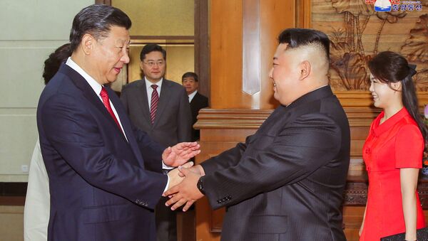 Chủ tịch Tập Cận Bình gặp Kim Jong-un - Sputnik Việt Nam