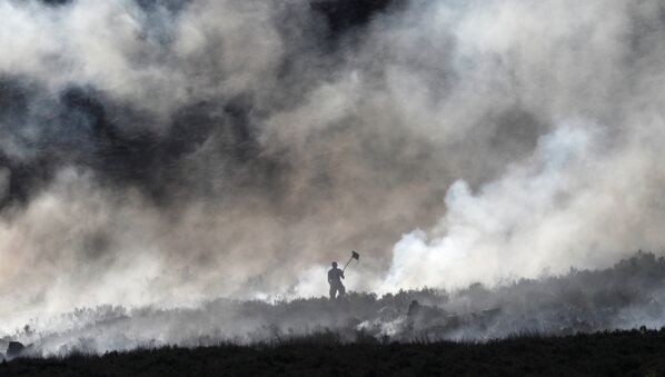 Chữa cháy tại đầm lầy gần Carrwood, Vương quốc Anh - Sputnik Việt Nam