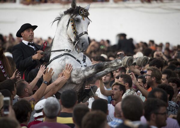 Con ngựa và kỵ sỹ trong đám đông tại lễ hội truyền thống San Juan trên đảo Menorca thuộc Quần đảo Baleares - Sputnik Việt Nam