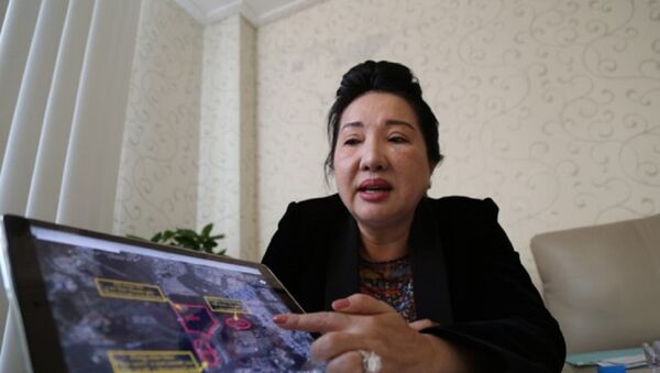 Bà Loan cho rằng đã trả lại khu đất 32 ha cho Tân Thuận - Sputnik Việt Nam
