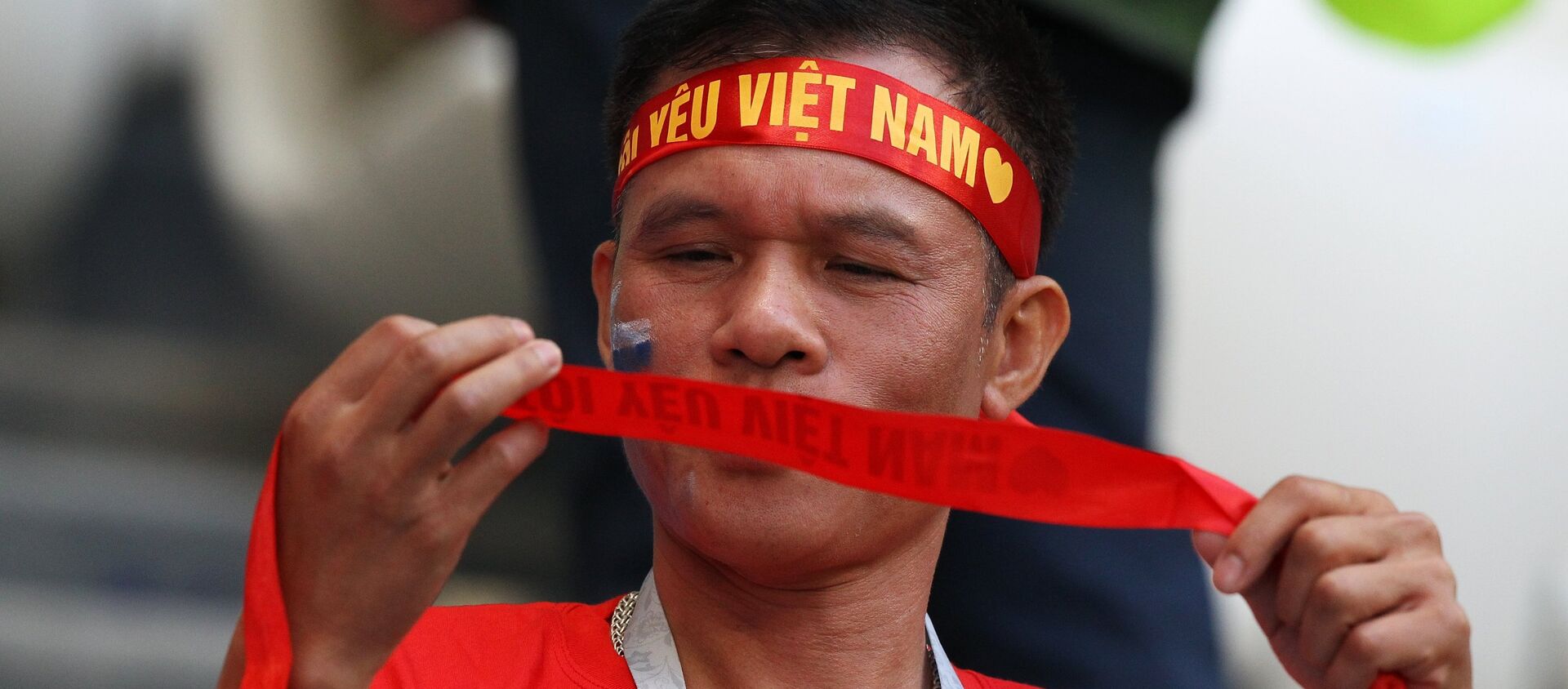 Người hâm mộ Việt Nam tại World Cup 2018 - Sputnik Việt Nam, 1920, 10.06.2021