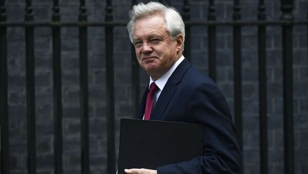 David Davis, Secretary of State for Exiting the European Union arrives at Downing Street in London, Britain October 24, 2016. - Sputnik Việt Nam