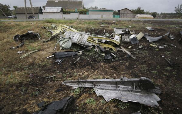Tai nạn máy bay Boeing ở Ukraina - Sputnik Việt Nam