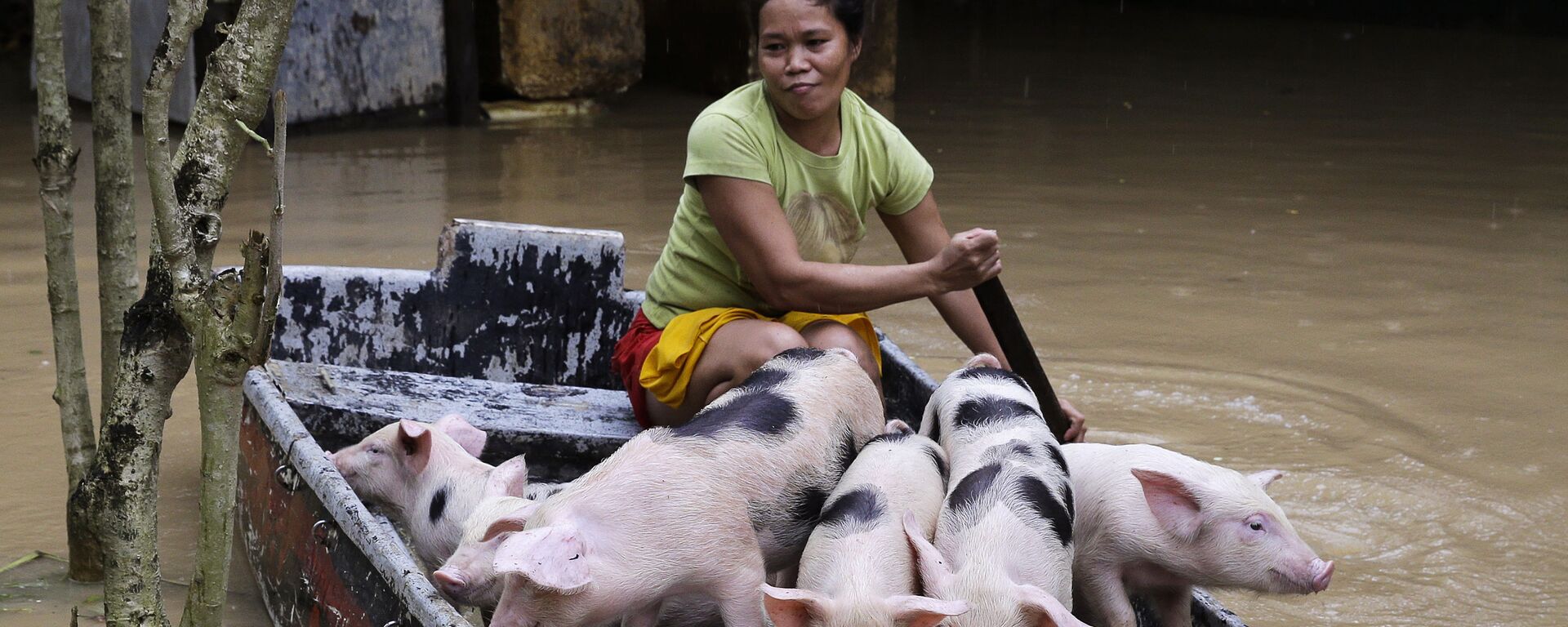 Người phụ nữ chuyển đàn lợn con của mình đến nơi an toàn tránh lũ lụt ở Philippines - Sputnik Việt Nam, 1920, 02.01.2023