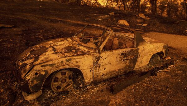 Xe bị cháy do hỏa hoạn thiên nhiên ở California - Sputnik Việt Nam