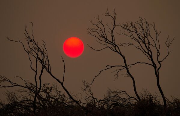 Mặt trời trên ngọn lửa cháy đồi gần Redding, California - Sputnik Việt Nam