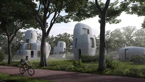 Ở Hà Lan sẽ xuất hiện khu dân cư với các ngôi nhà được in trên máy 3D - Sputnik Việt Nam