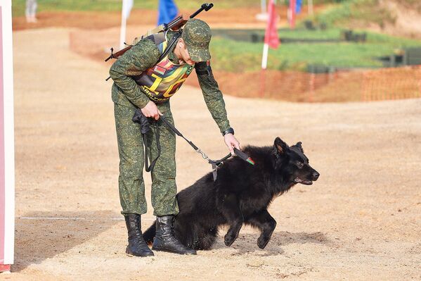 Thành viên của đội Belarus tại thao trường cuộc thi Dog-Biathlon chó nghiệp vụ “Người bạn trung thành” trong khuôn khổ ArMY-2018 - Sputnik Việt Nam