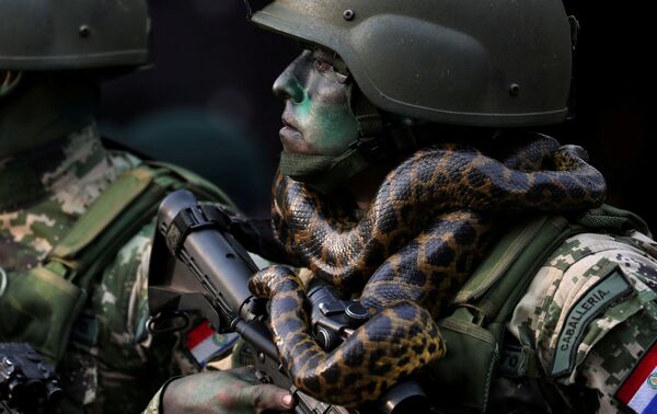 Lính đặc nhiệm với con rắn quấn cổ trong cuộc diễu binh  Asuncion, Paraguay - Sputnik Việt Nam