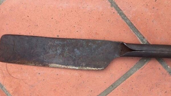 Con dao của người chồng dùng để chém vợ - Sputnik Việt Nam