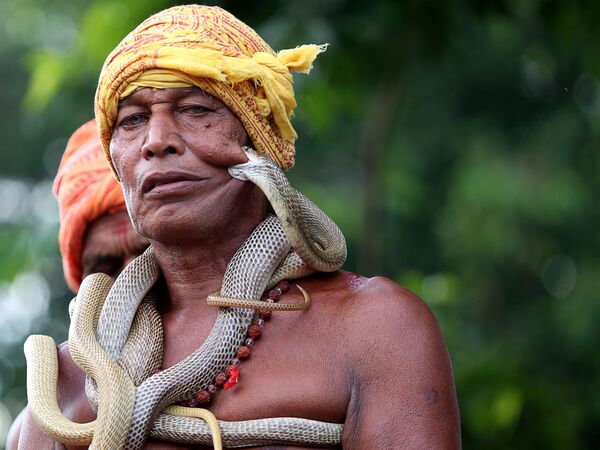 Người dạy rắn tại Festival Maa Mansa Puja ở Dhalbhumgarh, Ấn Độ - Sputnik Việt Nam