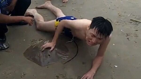 Ra biển tắm, người đàn ông bị cá đuối bám chặt của quý - Sputnik Việt Nam