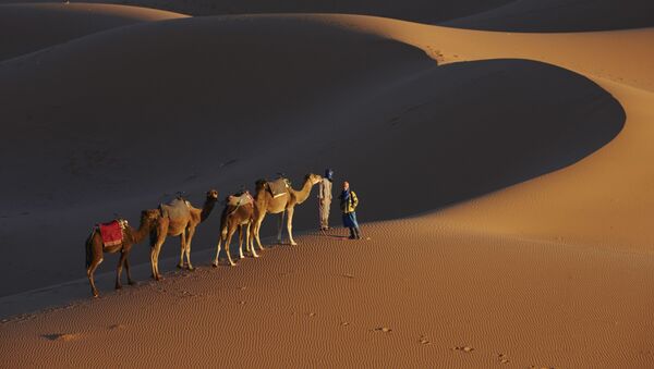 Человек и верблюды на дороге тысячи крепостей в пустыне Сахара, Марокко - Sputnik Việt Nam