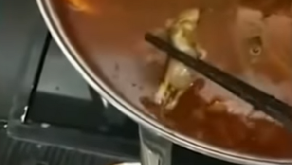 Chinese restaurant gets shut down after pregnant woman finds dead rat in soup - Sputnik Việt Nam