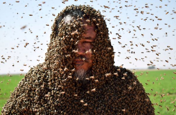Người đàn ông với đàn ong phủ kín toàn bộ thân thể, Ả Rập Saudi - Sputnik Việt Nam