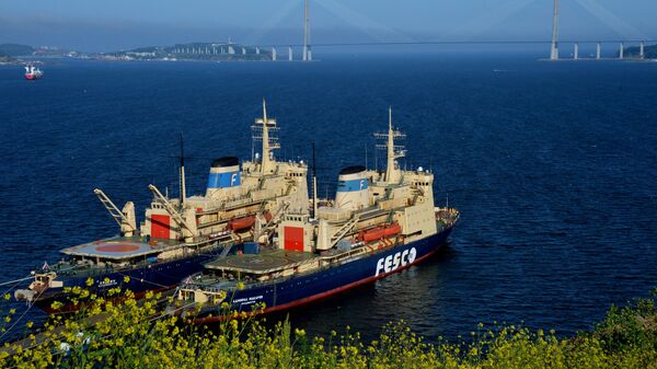 Tàu phá băng của hãng vận tải Nga FESCO - Krasin và Đô đốc Makarov - ở Vladivostok - Sputnik Việt Nam