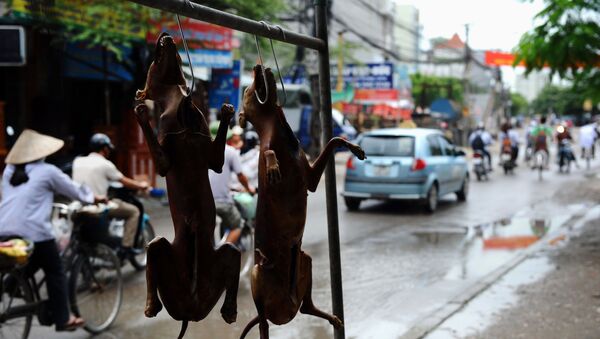 Chó thui ở một quán ăn trên đường phố Hà Nội, Việt Nam - Sputnik Việt Nam
