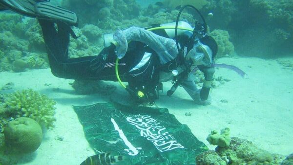Người phụ nữ Ảrập Xêút lặn biển đã ghi danh mình vào Sách Kỷ lục Guinness - Sputnik Việt Nam