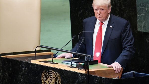 Tổng thống Mỹ Donald Trump - Sputnik Việt Nam