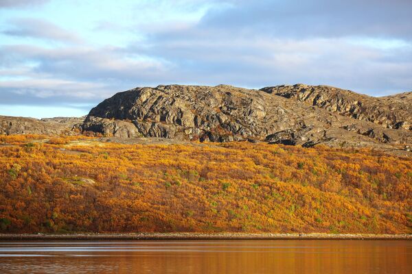Bãi đá trên bán đảo Nemetsky ở quận Pechenga tỉnh Murmansk - Sputnik Việt Nam