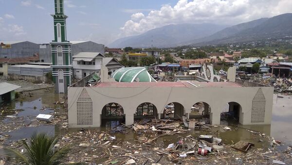 Las consecuncias del terremoto en Indonesia - Sputnik Việt Nam