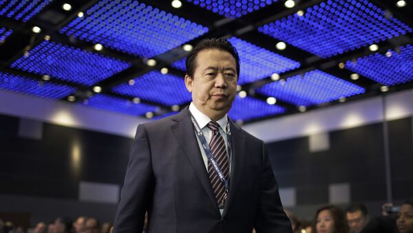 Interpol President, Meng Hongwei, walks towards the stage to deliver his opening address at the Interpol World congress on Tuesday, July 4, 2017, in Singapore - Sputnik Việt Nam