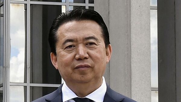Meng Hongwei, exjefe de Interpol - Sputnik Việt Nam