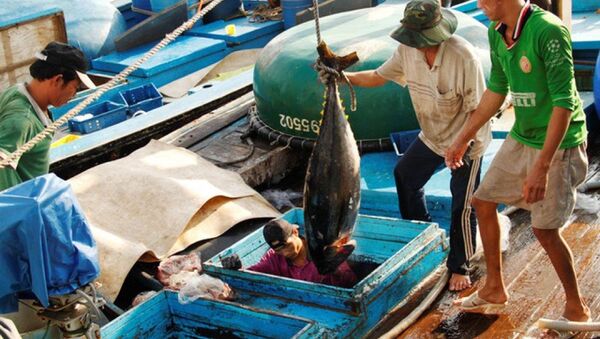 Dự kiến ngày 31/10, đoàn Ủy ban Nghề cá Nghị viện châu Âu và tháng 1/2019, đoàn Thanh tra của Ủy ban châu Âu sẽ sang Việt Nam để kiểm tra việc khắc phục “thẻ vàng” thủy sản từ EU. - Sputnik Việt Nam