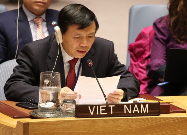 Việt Nam đắc cử ủy viên không thường trực HĐBA LHQ Việt Nam đắc cử ủy viên không thường trực HĐBA LHQ - Sputnik Việt Nam