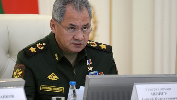 Shoigu tại cuộc họp chung của các cơ quan quân sự Nga và Belarus - Sputnik Việt Nam