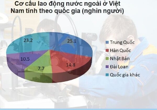 Ủy ban các vấn đề xã hội đã làm rõ bức tranh lao động nước ngoài ở Việt Nam Ủy ban các vấn đề xã hội đã làm rõ bức tranh lao động nước ngoài ở Việt Nam - Sputnik Việt Nam
