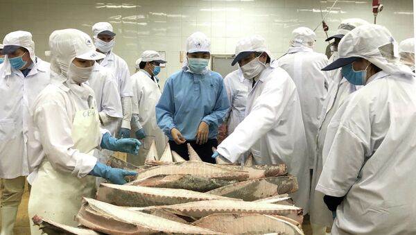 Đoàn Ủy ban Nghề cá của Nghị viện châu Âu kiểm tra tại Công ty Cổ phần thủy sản Bình Định. - Sputnik Việt Nam