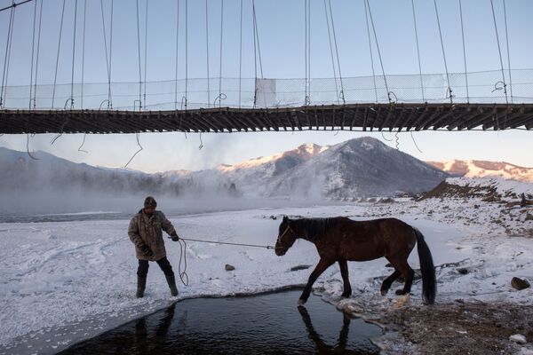 Người đàn ông dẫn ngựa đến nguồn nước trên sông Katun gần làng Tungur ở quận Ust-Koksinsky của Cộng hòa Altai. Vùng đất Belovodie là một quốc gia tự do và huyền thoại trong truyền thuyết dân gian Nga. Trong thế kỷ XVIII - XIX. Belovodye là nơi linh thiêng của các tín đồ Cựu giáo - thung lũng sông Bukhtarka và sông Katun ở Altai - Sputnik Việt Nam