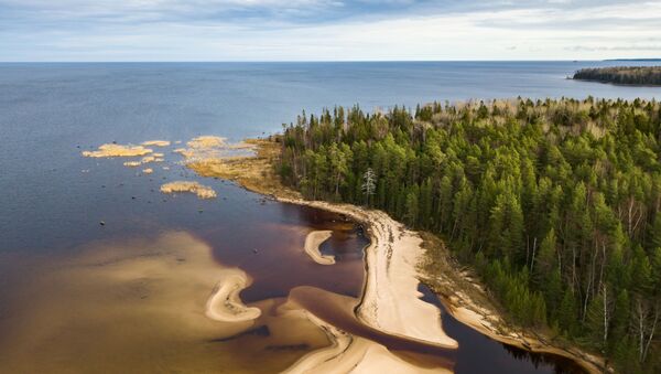 Bãi cát của hồ Onega và cửa sông Puhta ở Cộng hòa Karelia - Sputnik Việt Nam