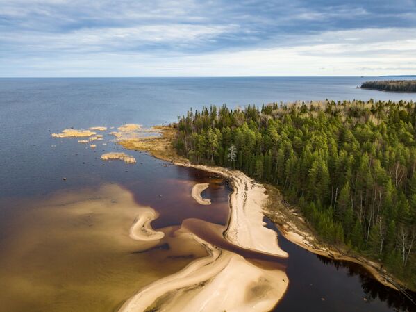 Bãi cát của hồ Onega và cửa sông Puhta ở Cộng hòa Karelia - Sputnik Việt Nam