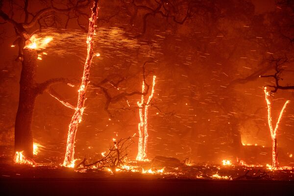 Cháy rừng ở vùng lân cận Paradise, California - Sputnik Việt Nam