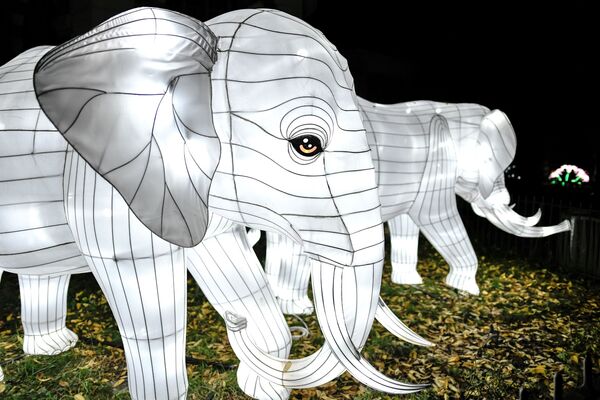 Thiết kế ánh sáng hình con voi trong Vườn Bách thảo Paris - Sputnik Việt Nam