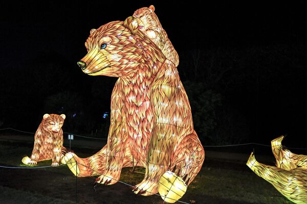 Thiết kế ánh sáng hình gấu trong Vườn Bách thảo của Paris - Sputnik Việt Nam