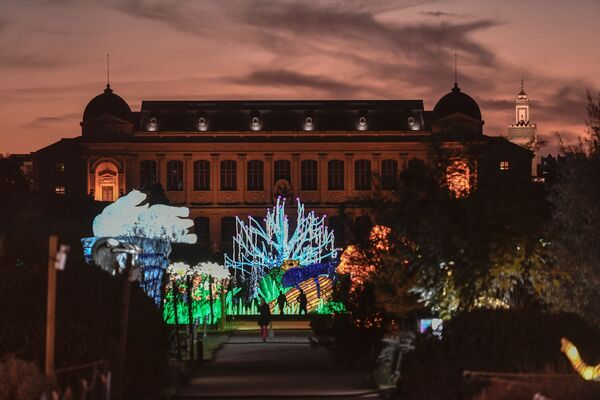 Tác phẩm sắp đặt bằng ánh sáng trong Vườn Bách thảo Paris - Sputnik Việt Nam
