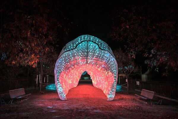 Tác phẩm ánh sáng hình cá mập trắng trong Vườn Bách thảo Paris - Sputnik Việt Nam