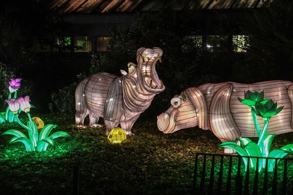 Thiết kế ánh sáng hình hà mã trong Vườn Bách thảo của Paris - Sputnik Việt Nam