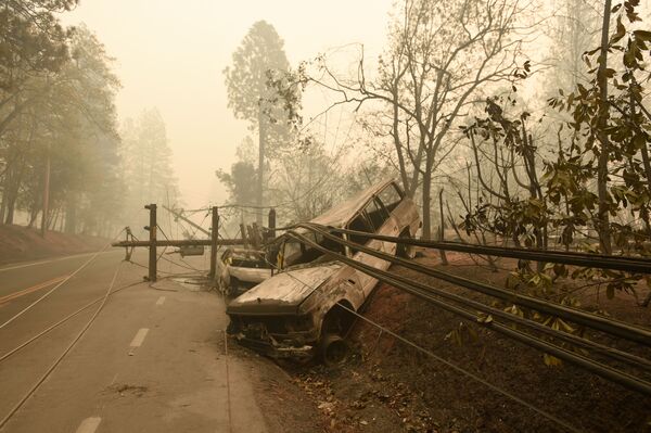 Hậu quả cháy rừng ở California, Hoa Kỳ - Sputnik Việt Nam