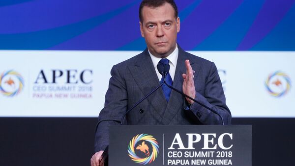 Thủ tướng Medvedev phát biểu tại hội nghị thượng đỉnh APEC - Sputnik Việt Nam