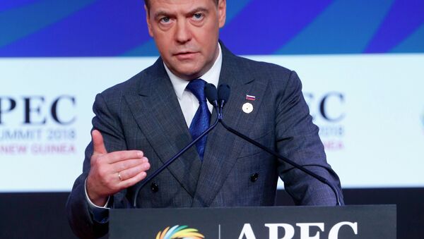 Thủ tướng Nga Dmitry Medvedev phát biểu tại hội nghị thượng đỉnh APEC - Sputnik Việt Nam