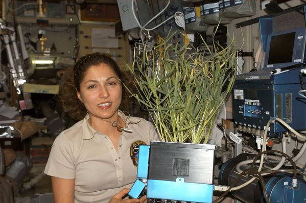 Du khách vũ trụ Anousheh Ansari trên khoang Trạm ISS - Sputnik Việt Nam
