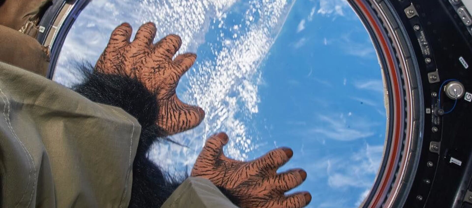Chú khỉ đồ chơi khỉ trên khoang Trạm ISS - Sputnik Việt Nam, 1920, 12.02.2019