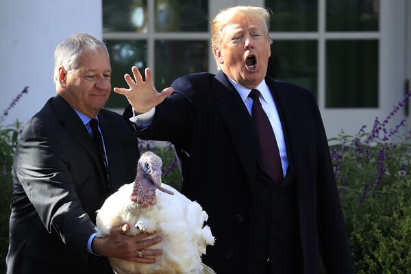 Tổng thống Mỹ Donald Trump ân xá con gà tây trong khu vườn trước Nhà Trắng - Sputnik Việt Nam